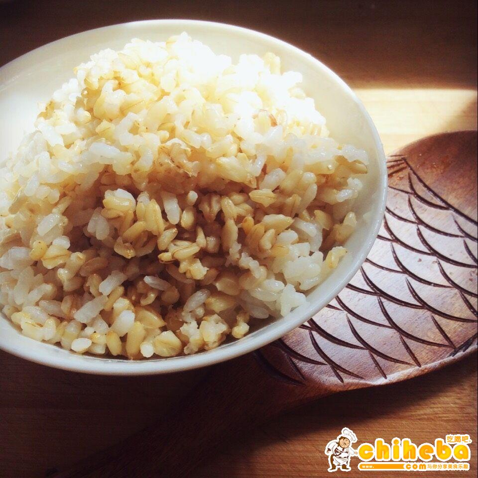 减肥主食---燕麦糙米饭